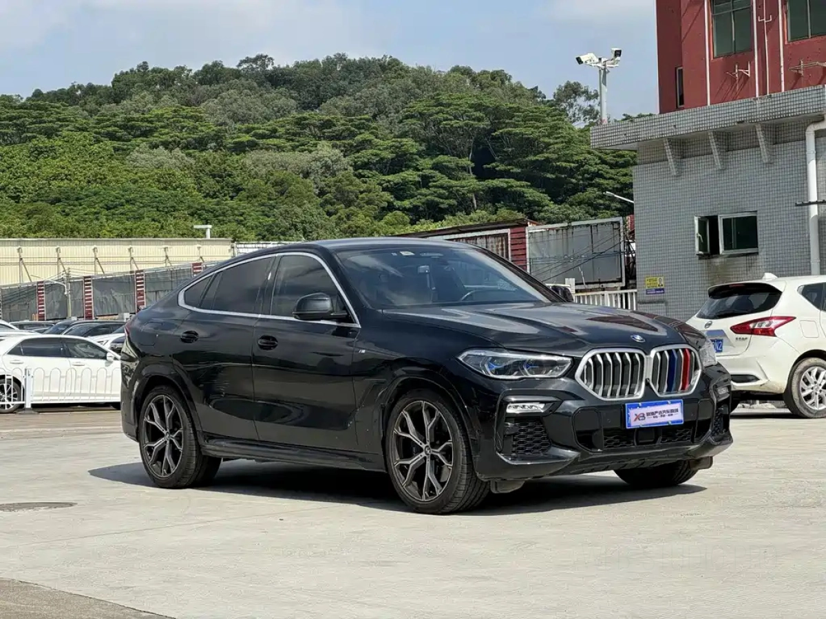 BMW X6