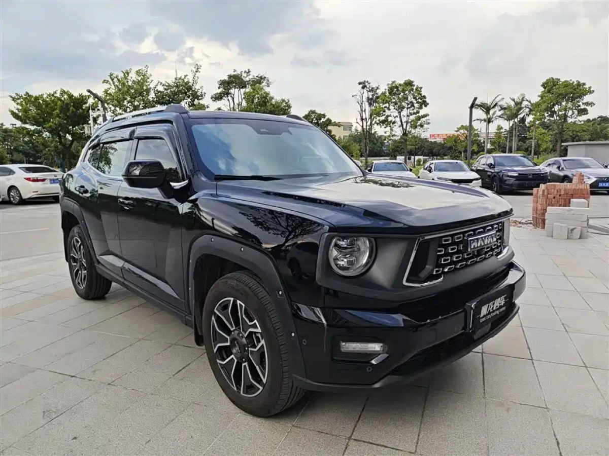 HAVAL 2 GEN. DARGO NEW ENERGY