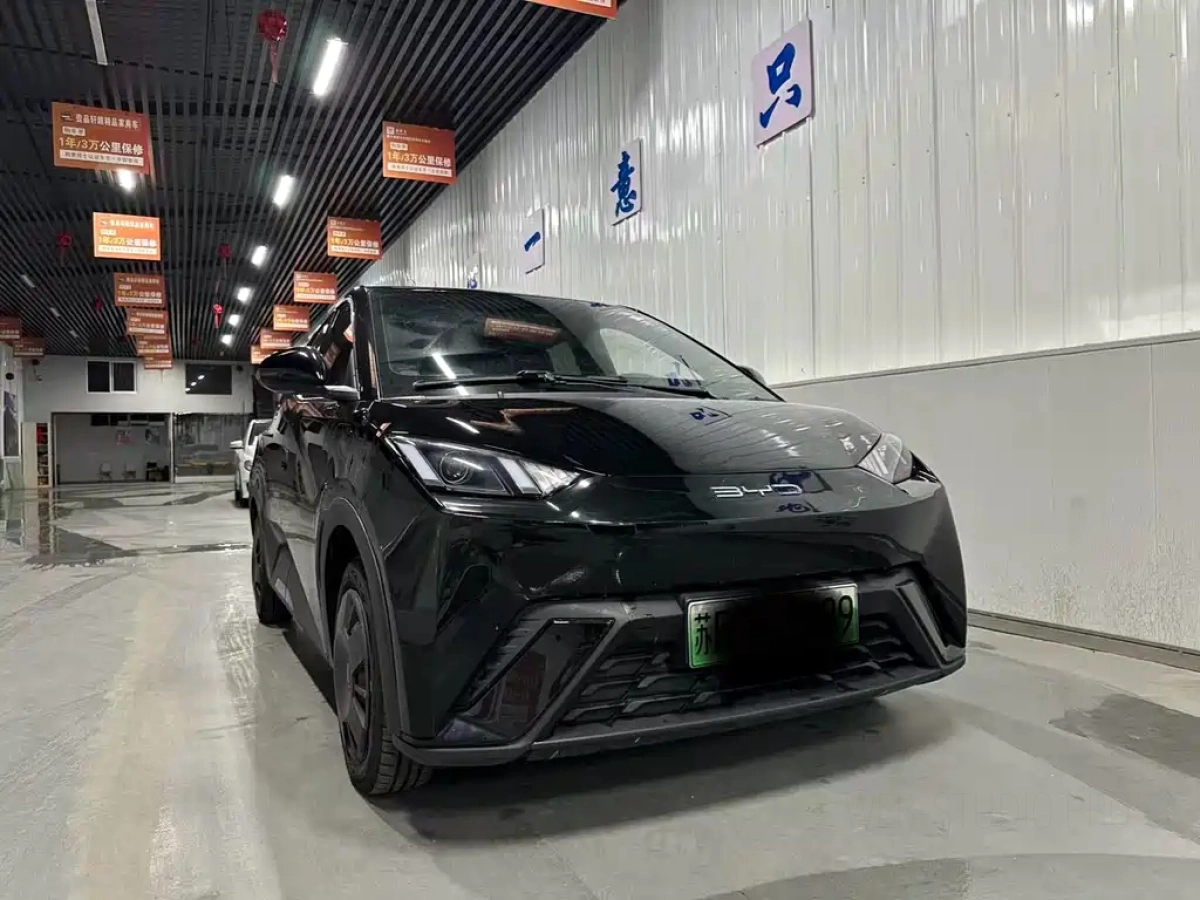 BYD SEAGULL
