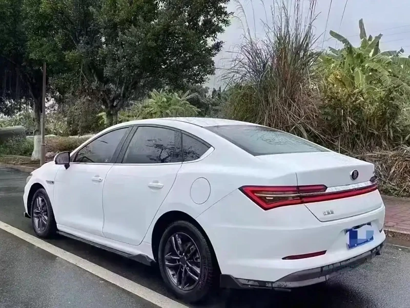 BYD QIN PRO