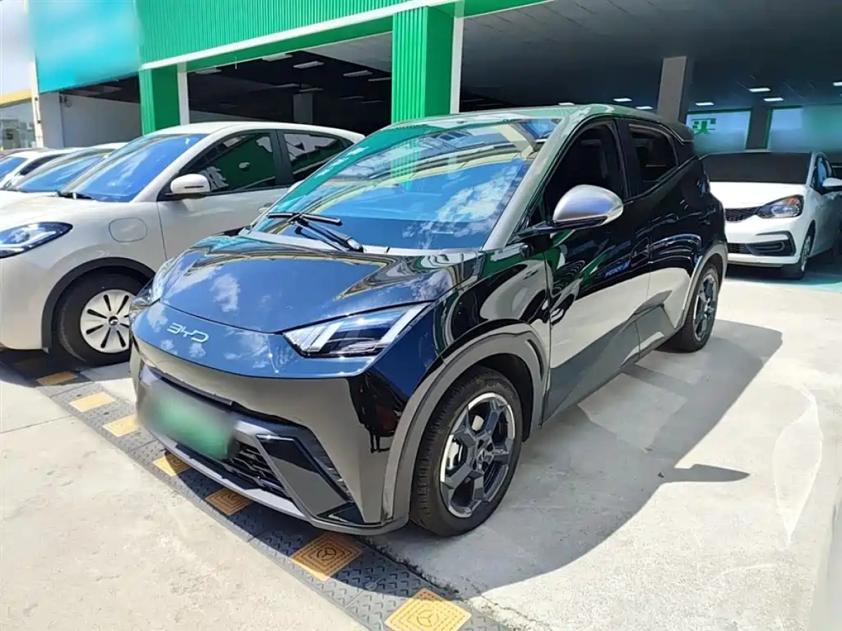 BYD SEAGULL