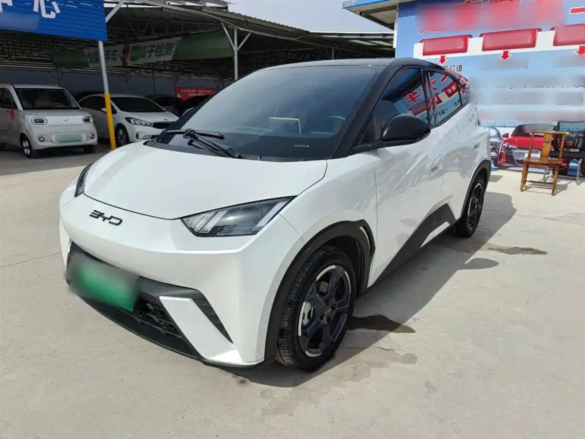 BYD SEAGULL  2023