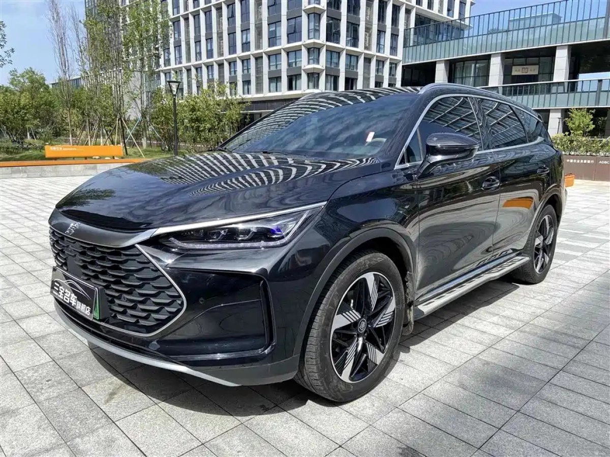 BYD TANG NEW ENERGY  2024