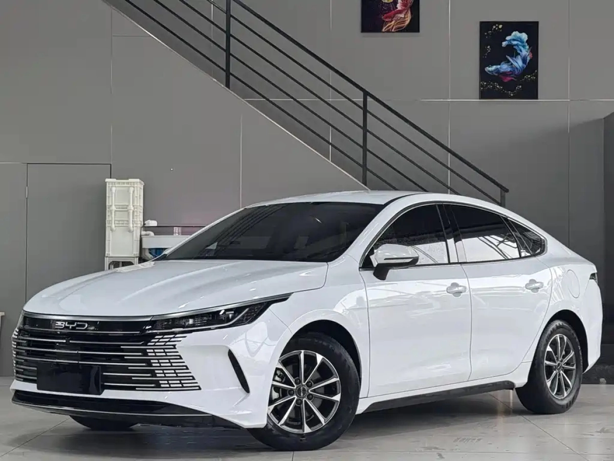 BYD DESTROYER 05  2023