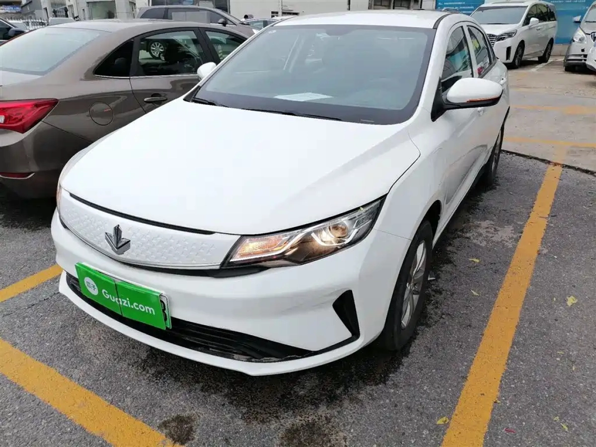 LIVAN 枫叶60S  2022