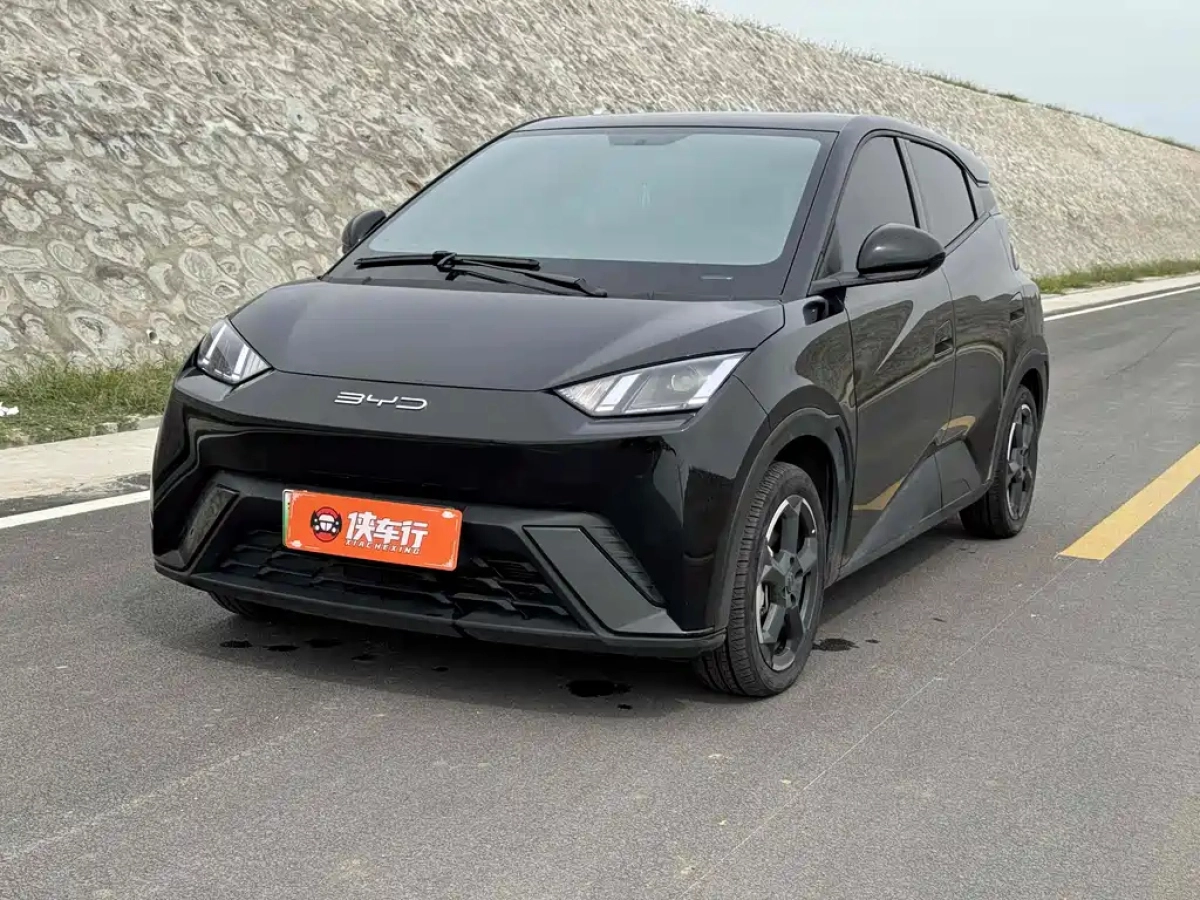 BYD SEAGULL  2024