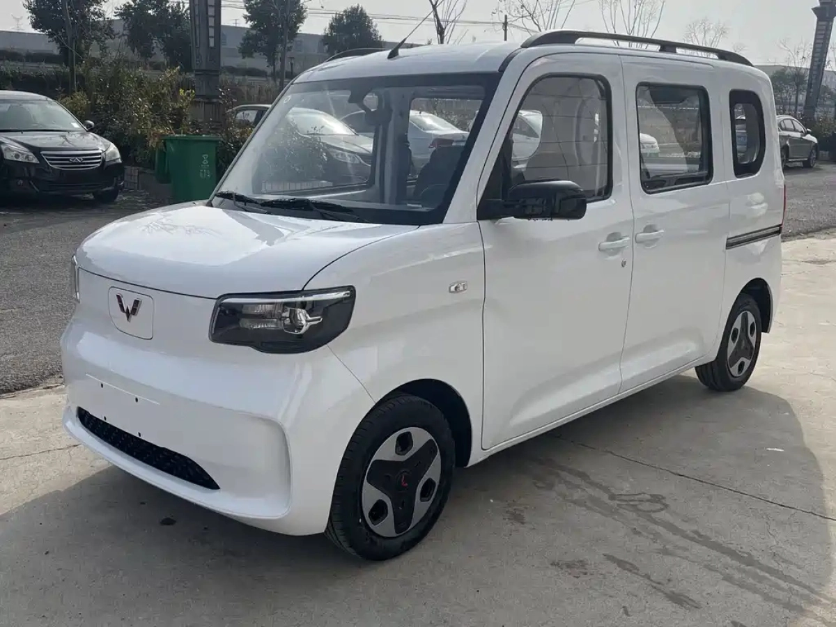 SGMW WULING LIGHT NEW ENERGY