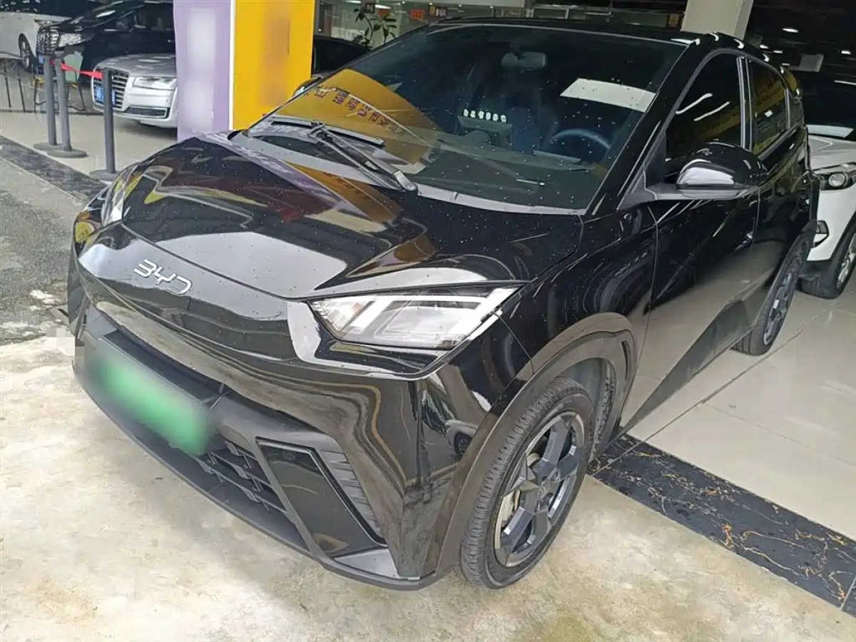 BYD SEAGULL  2024