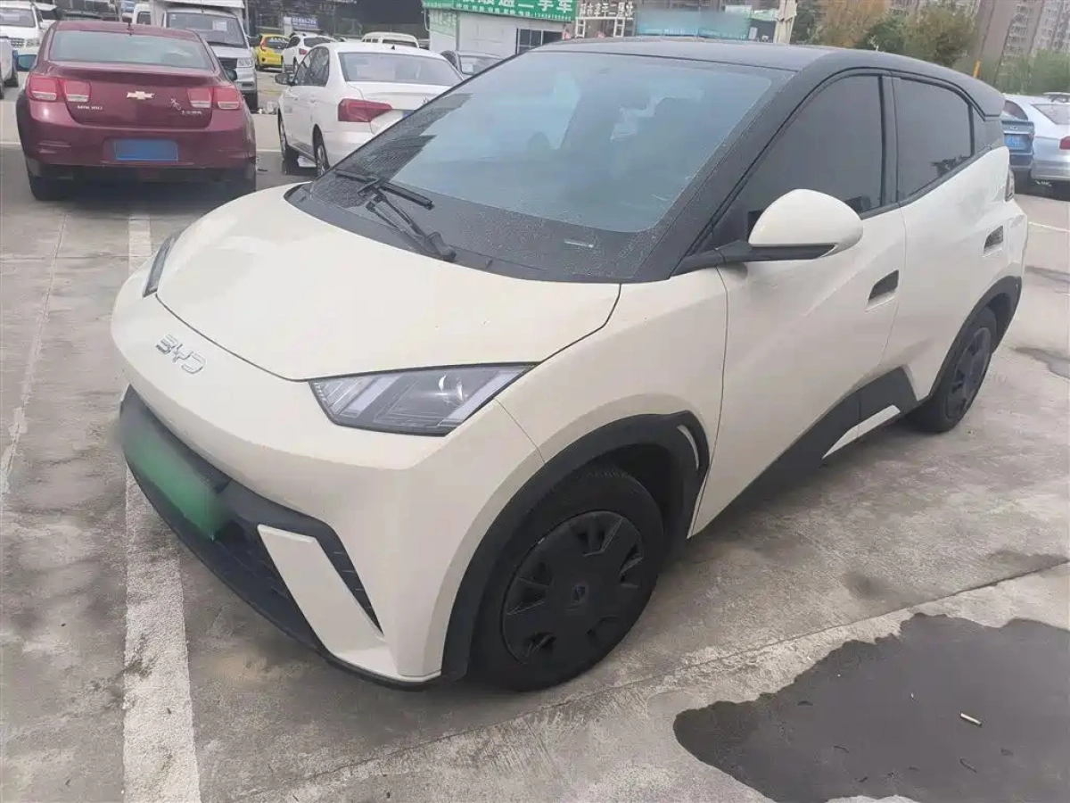 BYD SEAGULL  2024