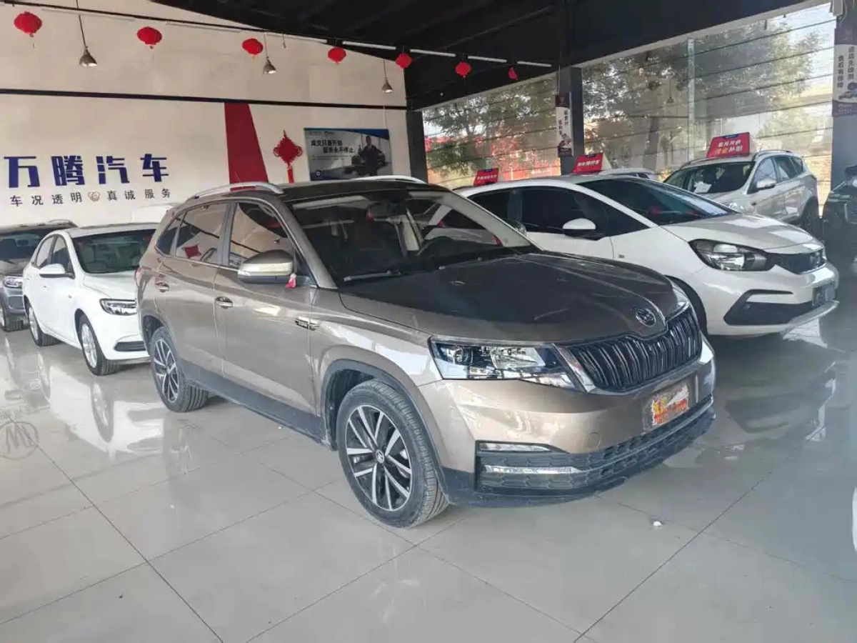 SKODA &#26607;&#31859;&#20811;