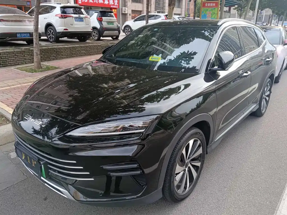 BYD SONG PLUS NEW ENERGY  2024