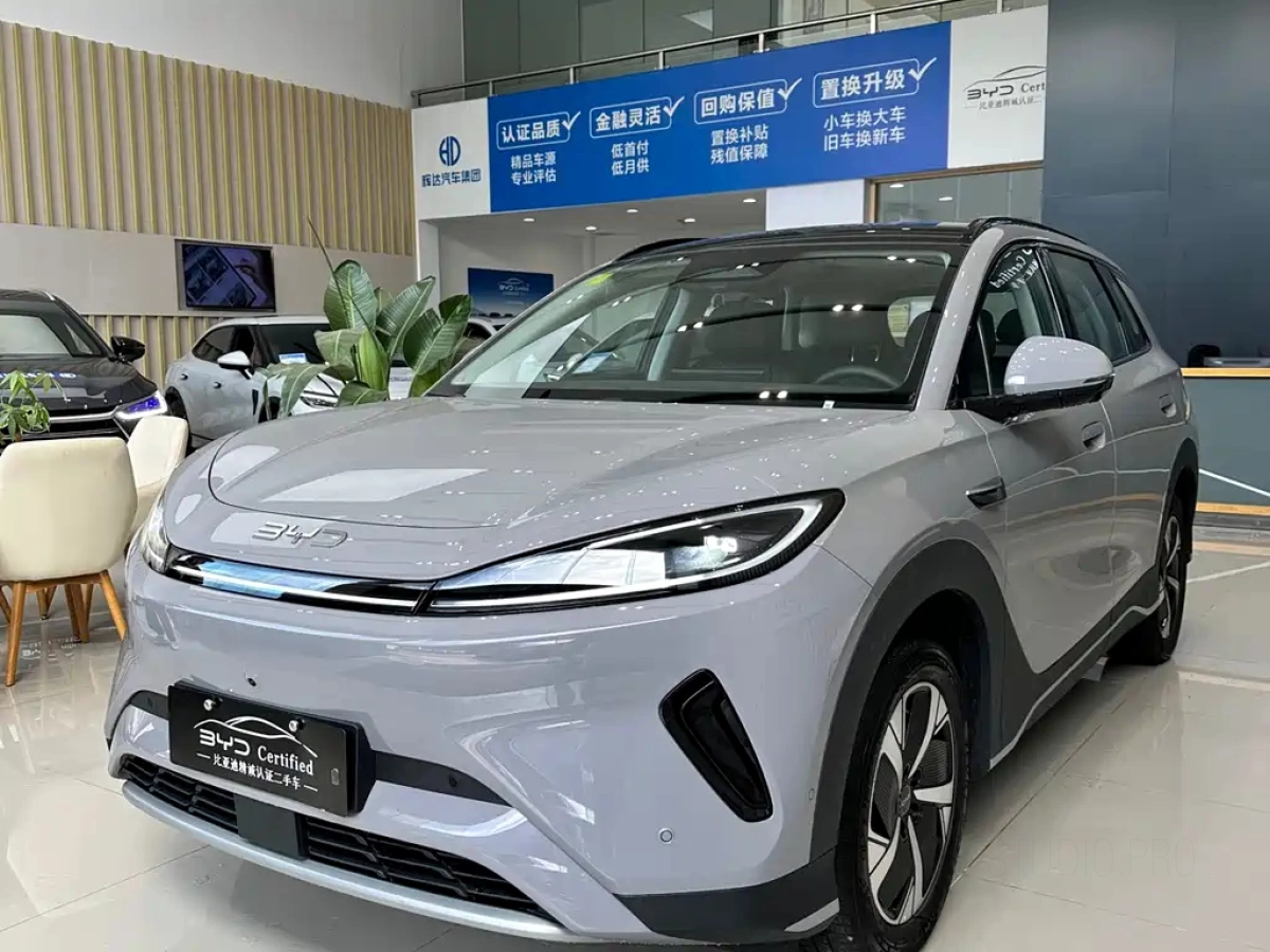 BYD OTHER  2025