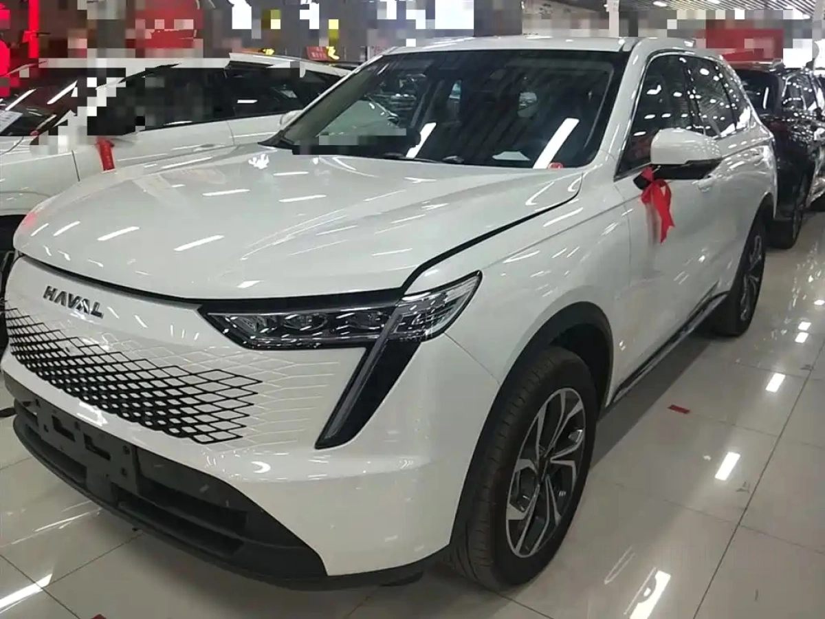 HAVAL 枭龙MAX  2023