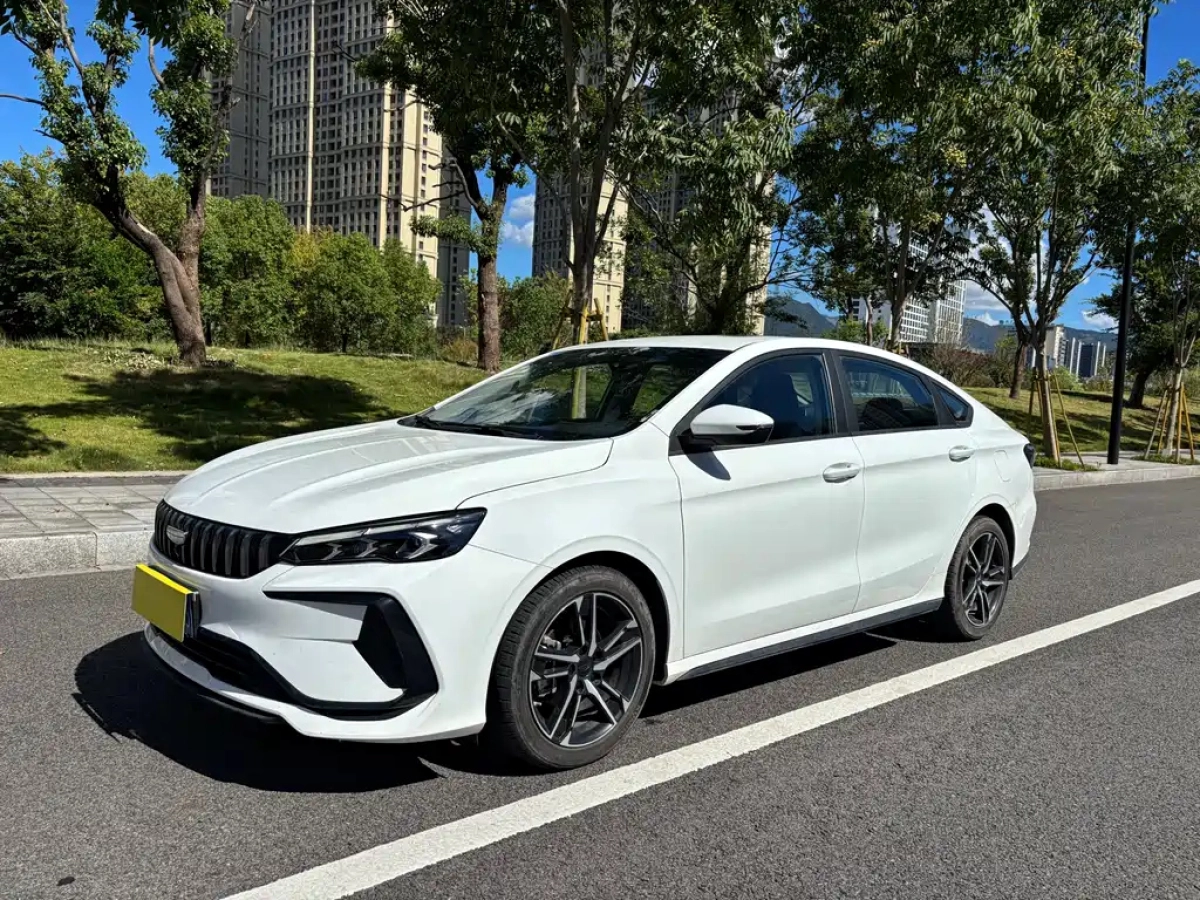 GEELY AUTO BINRUI  2024
