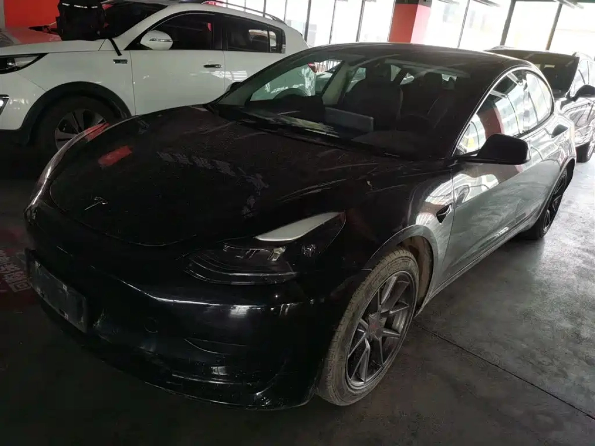 TESLA MODEL 3  2021