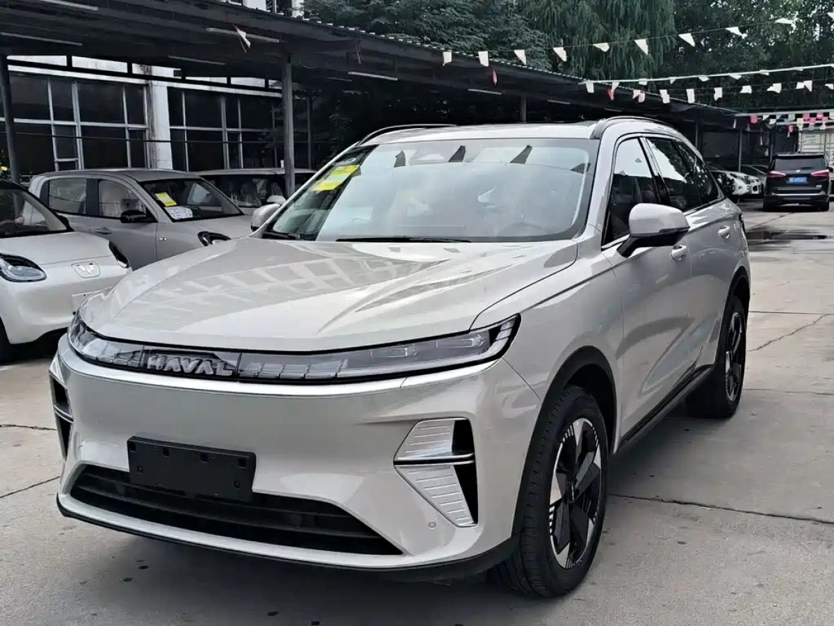 HAVAL 枭龙MAX  2025