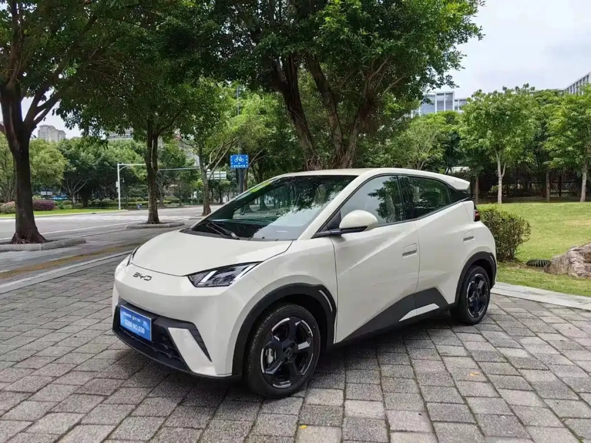 BYD SEAGULL  2023