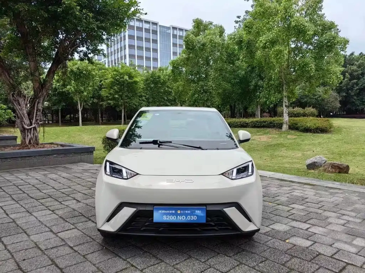BYD SEAGULL