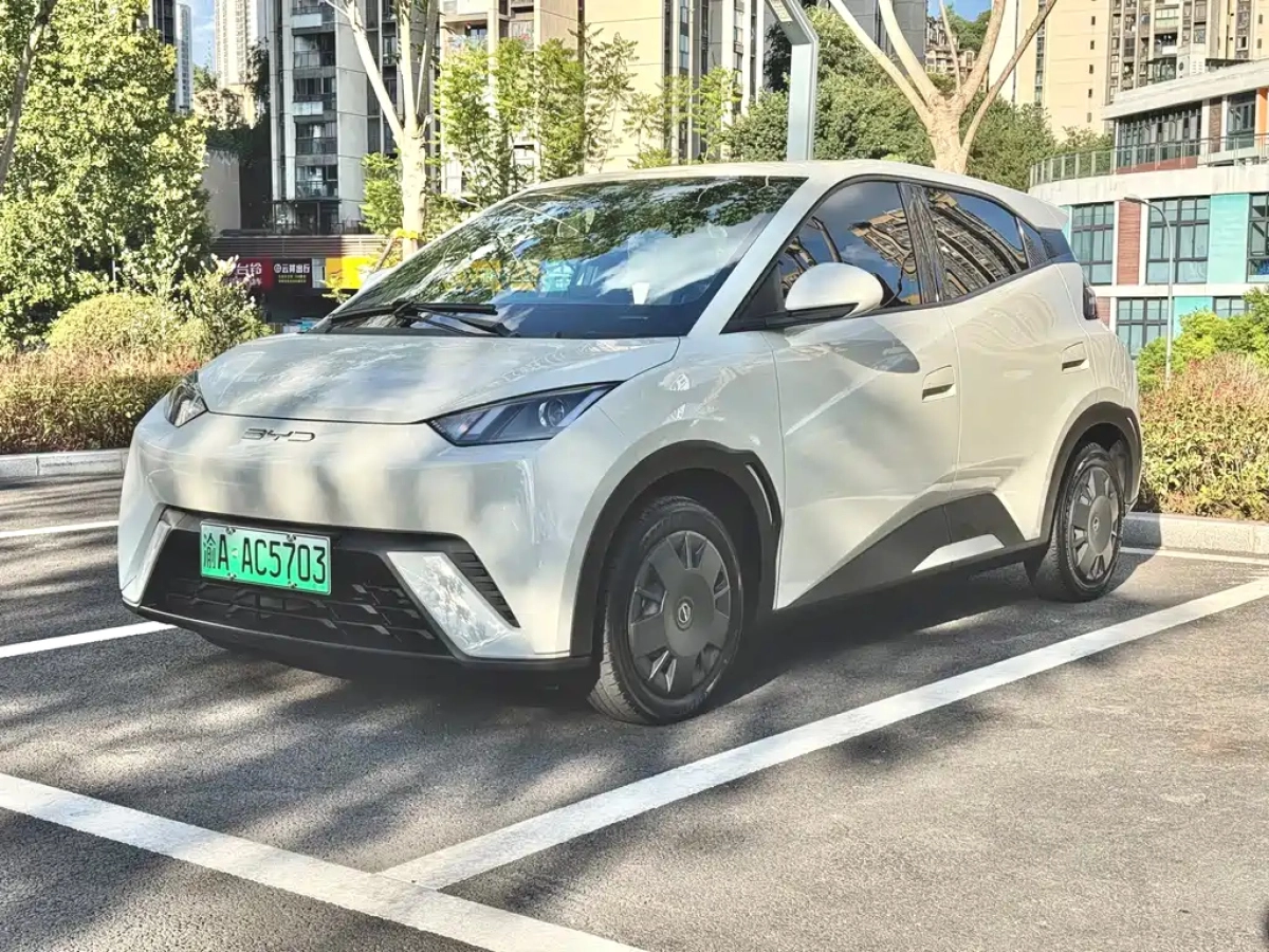 BYD SEAGULL  2023