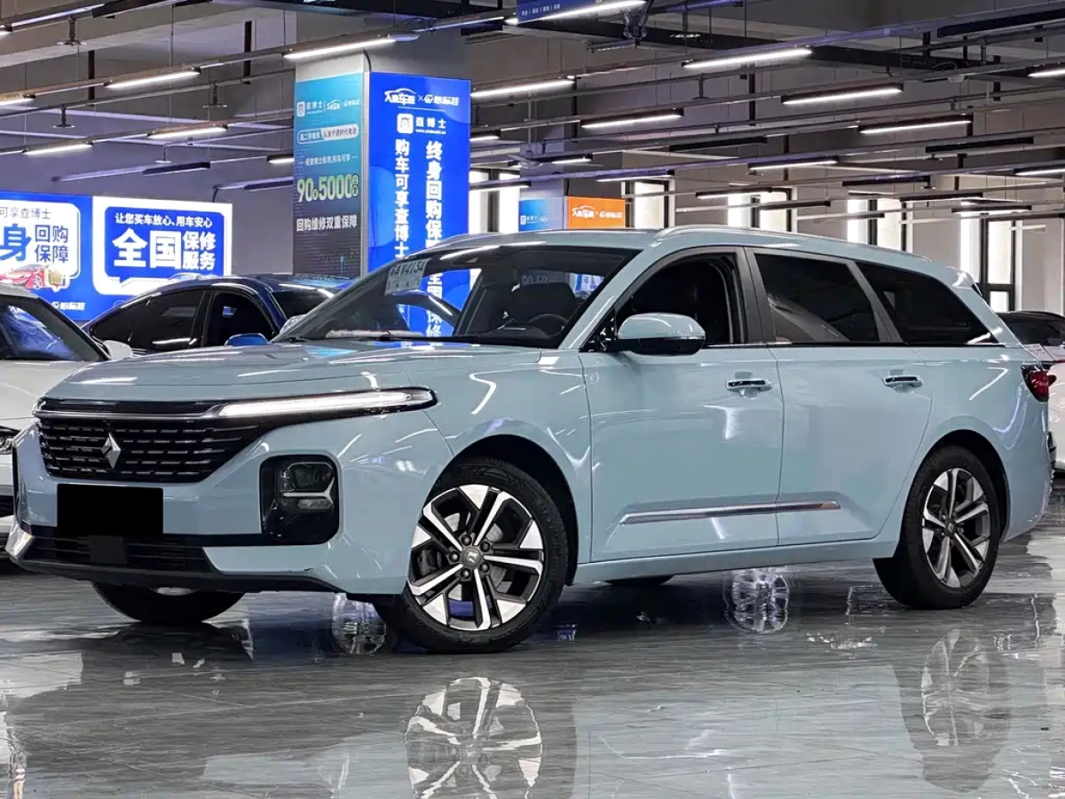 BAO JUN VALLI  2021