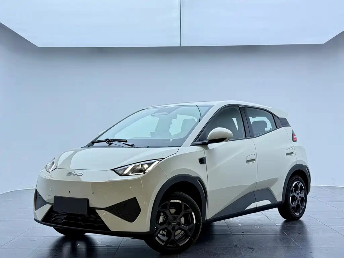 BYD SEAGULL  2025