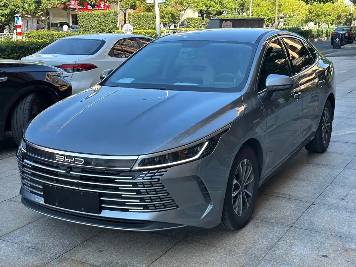 BYD DESTROYER 05  2024