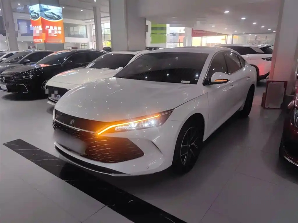 BYD QIN L  2024