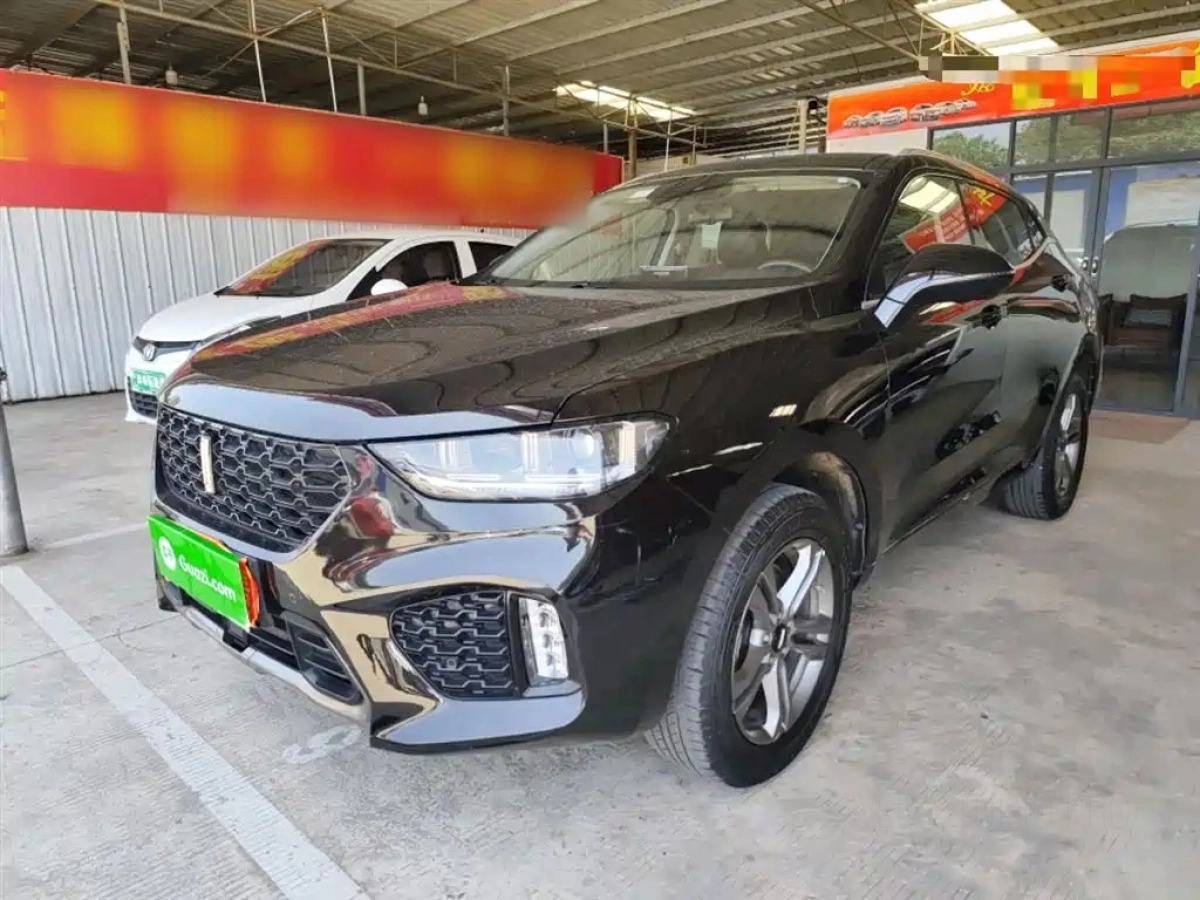 WEY VV5  2019