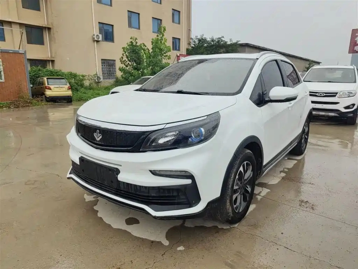 LIVAN 枫叶30X  2020
