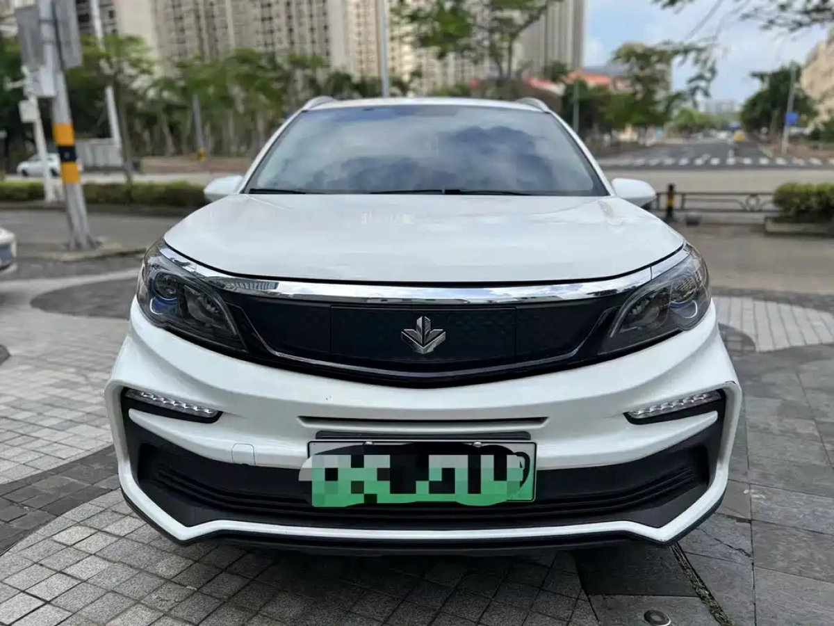 LIVAN &#26539;&#21494;30X