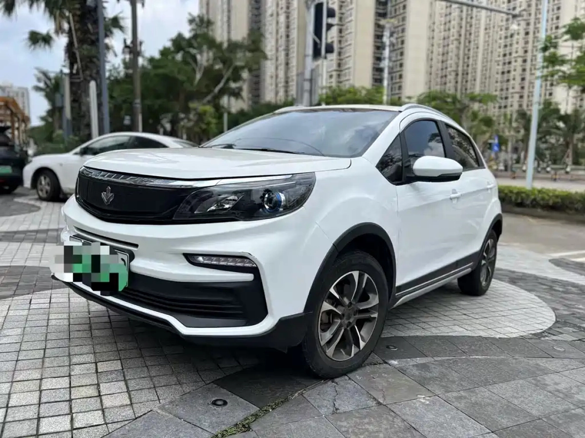LIVAN &#26539;&#21494;30X