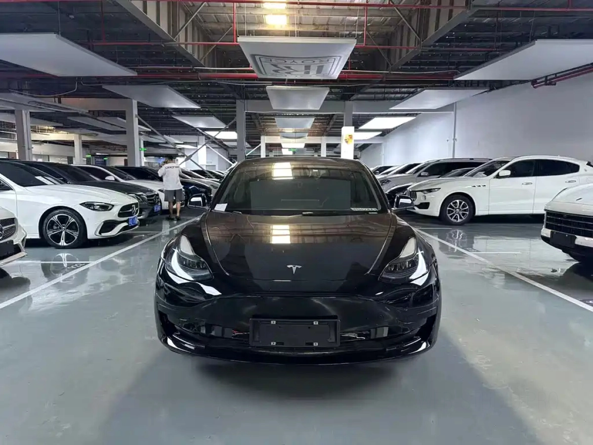TESLA MODEL 3  2022