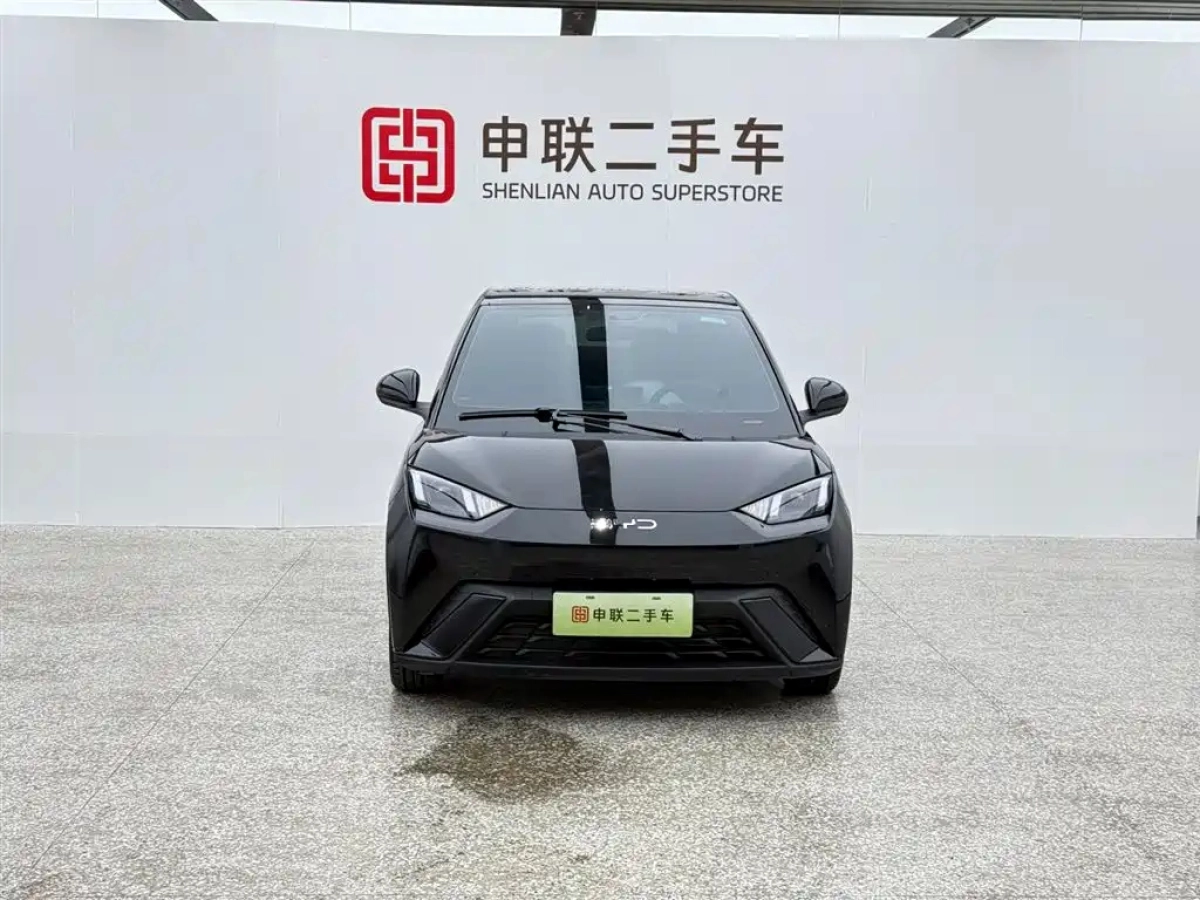 BYD SEAGULL  2024