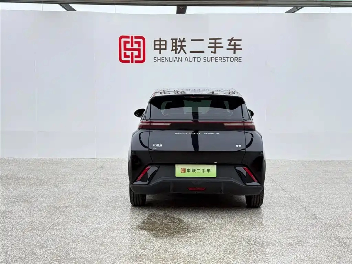 BYD SEAGULL