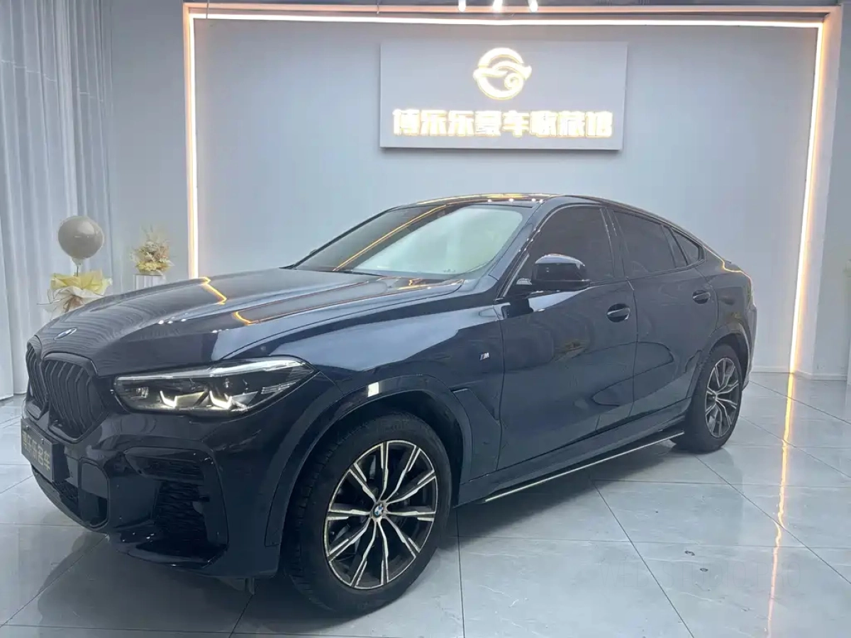 BMW X6