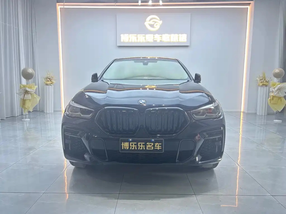 BMW X6