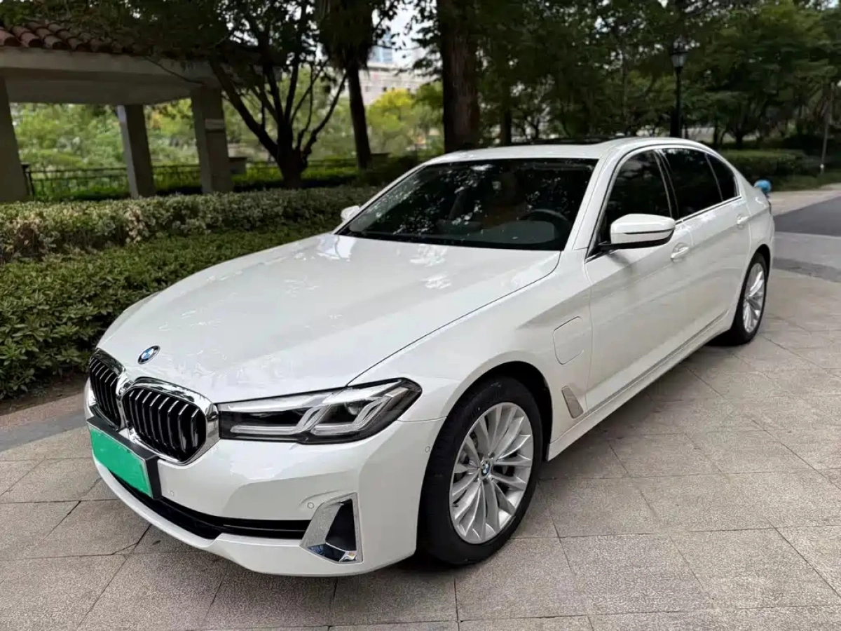 BMW 5-SERIES NEW ENERGY  2021
