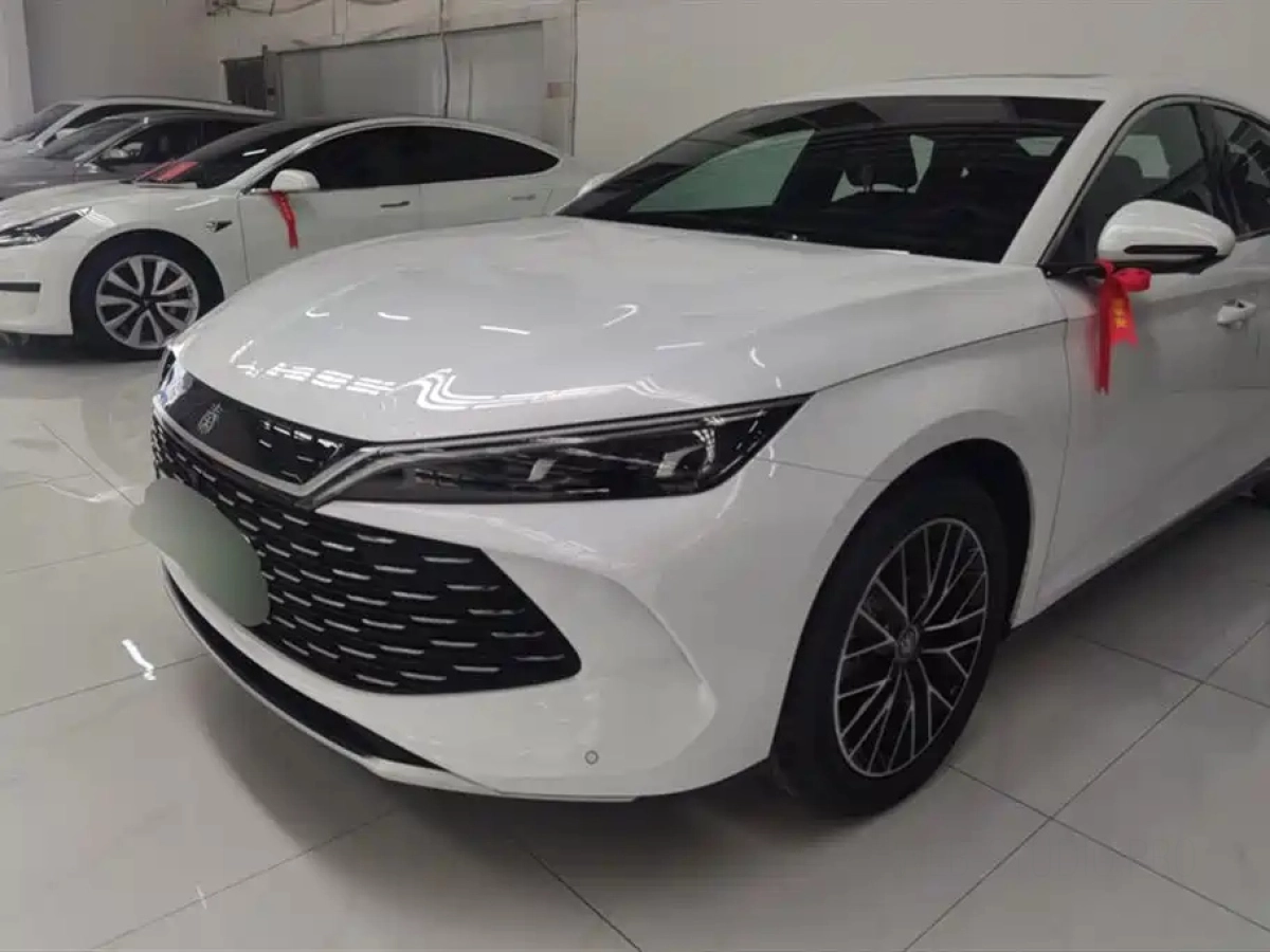BYD QIN L  2024