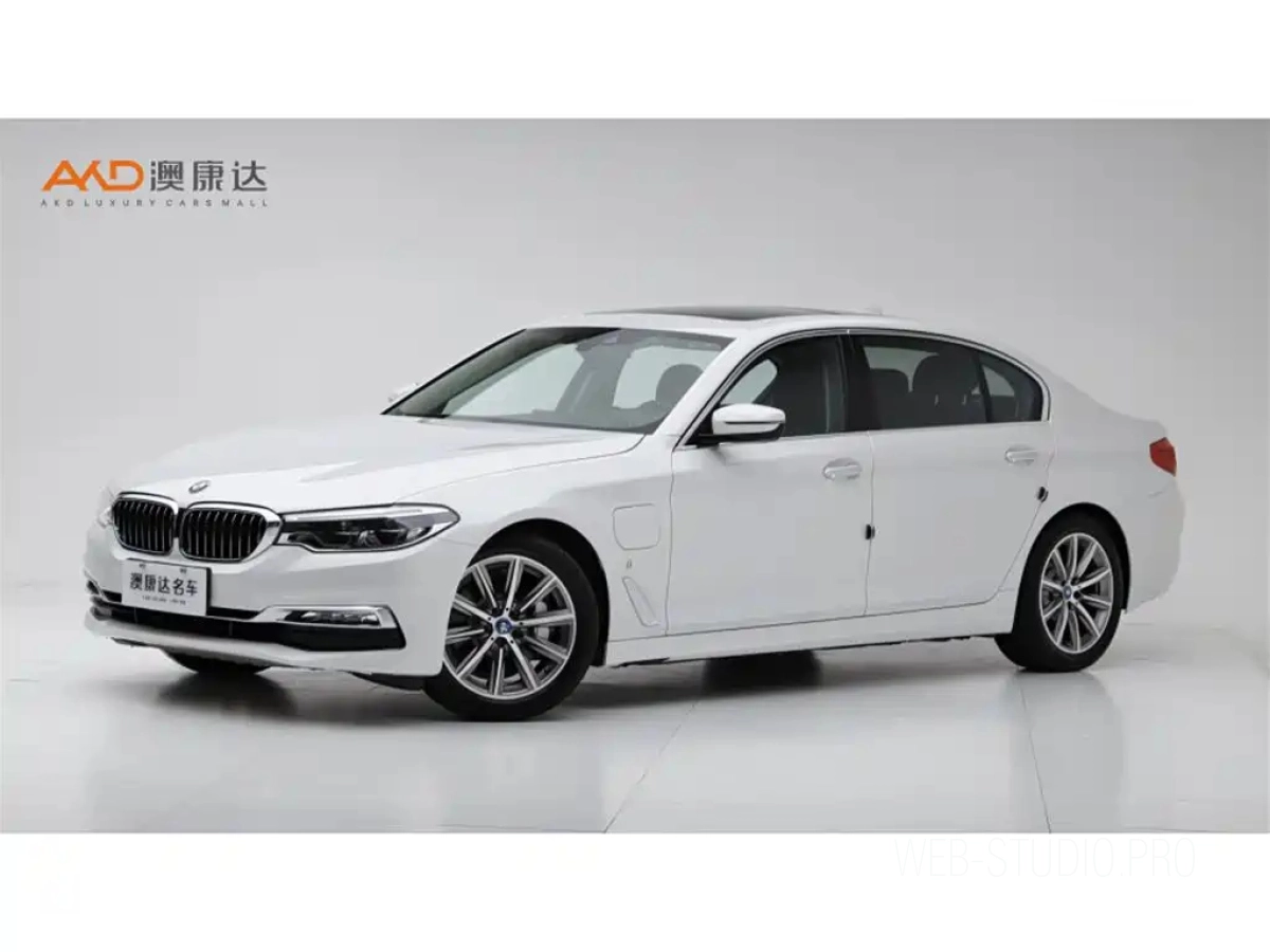 BMW 5-SERIES NEW ENERGY  2018