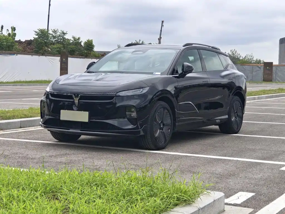 VOYAH 知音  2024