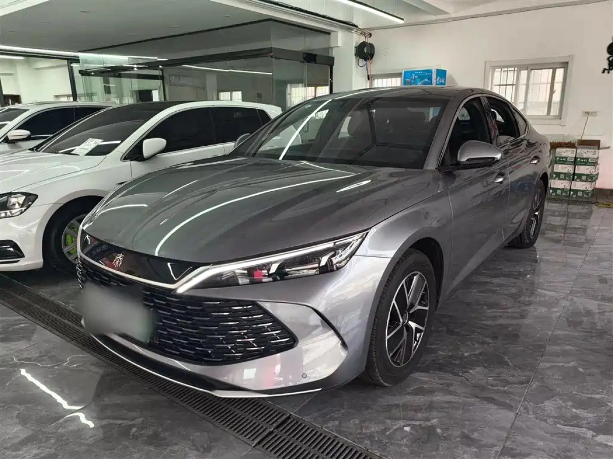 BYD QIN L  2024