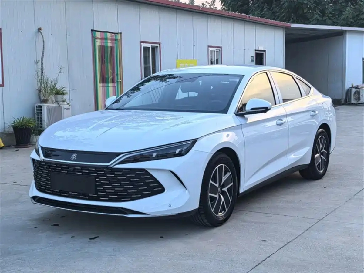 BYD QIN L  2024