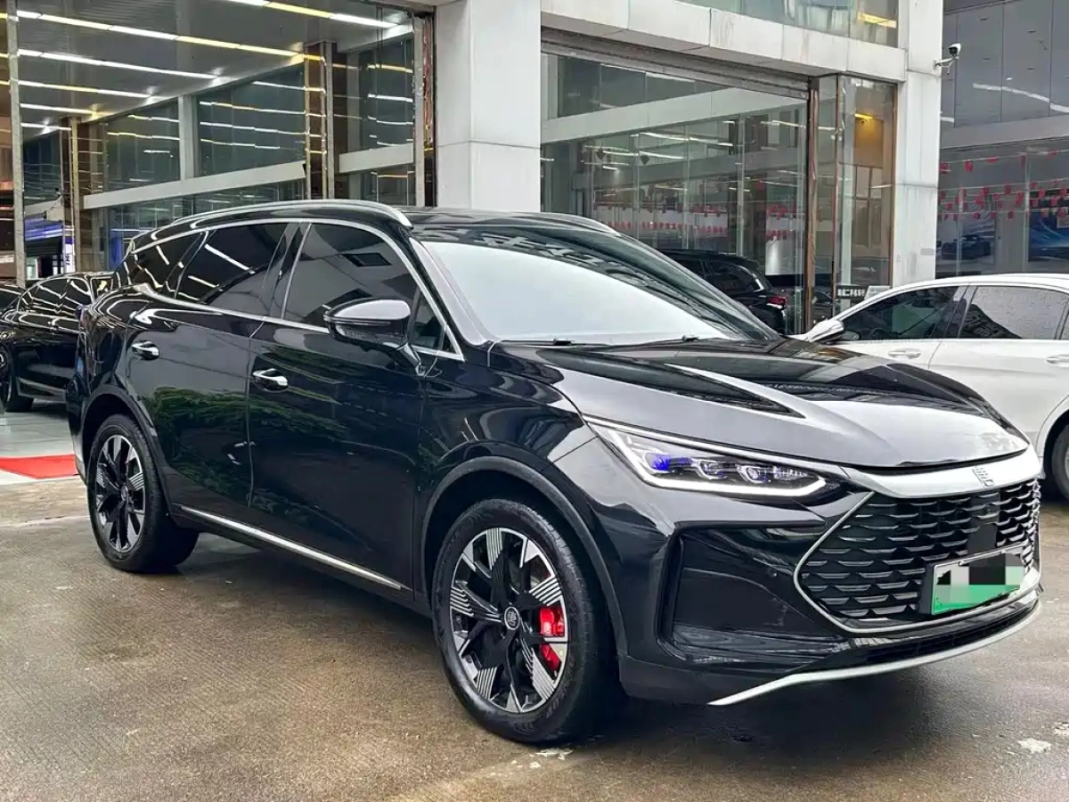 BYD TANG NEW ENERGY  2024
