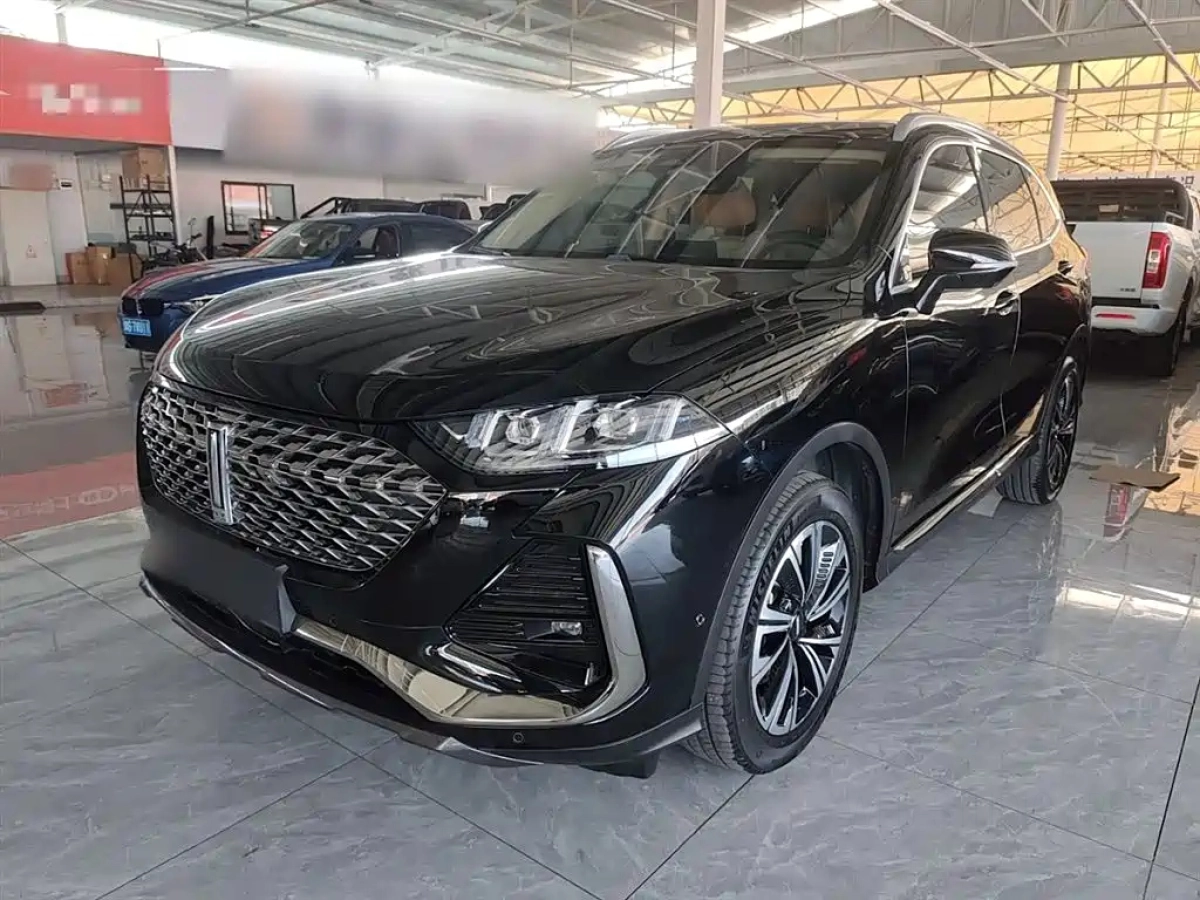 WEY 拿铁DHT  2022