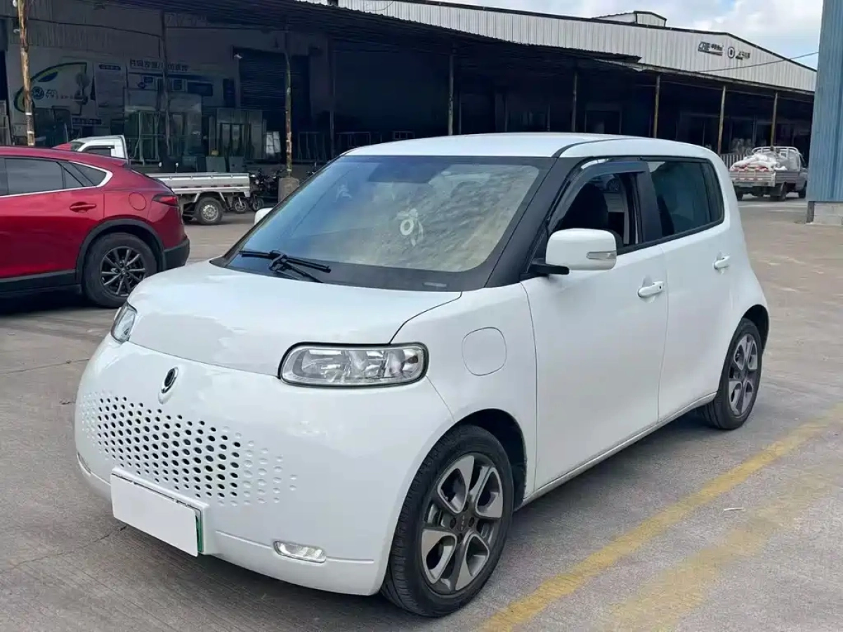 ORA WHITE CAT  2020