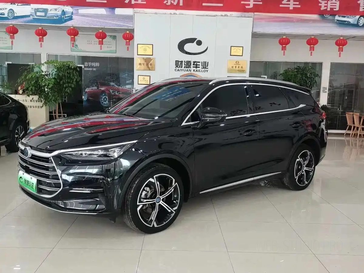 BYD TANG NEW ENERGY  2021