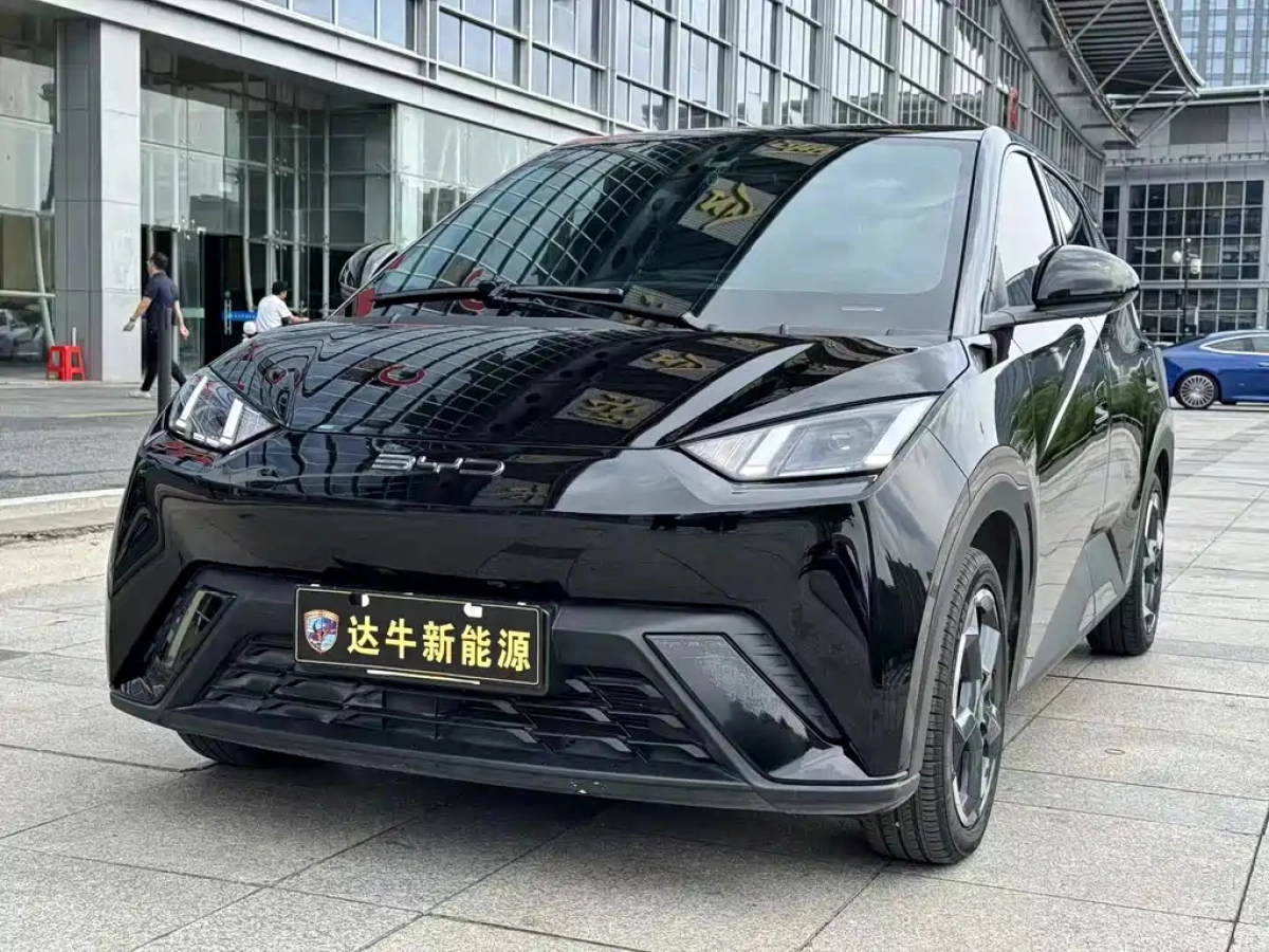 BYD SEAGULL  2023