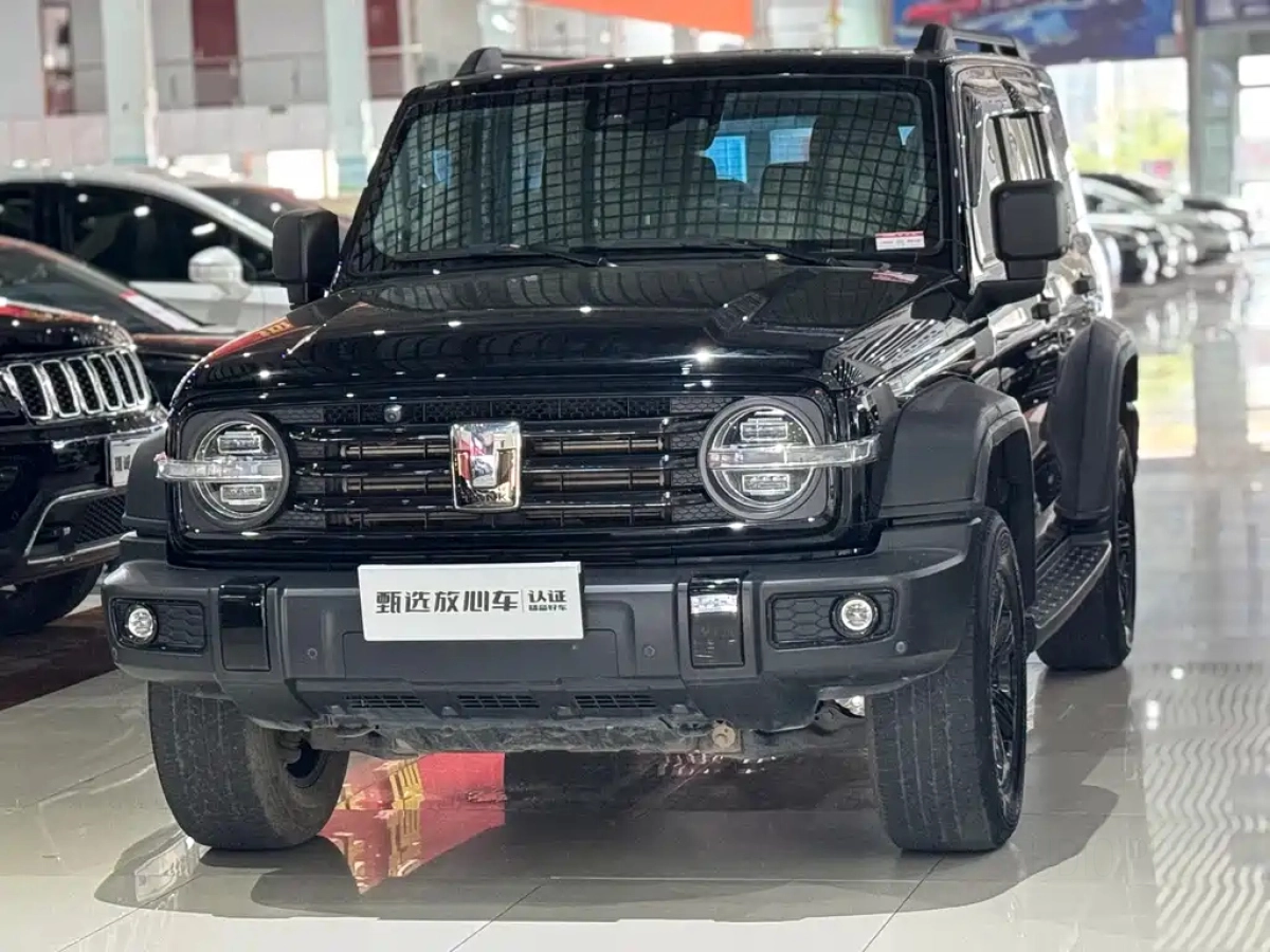 TANK 300  2024
