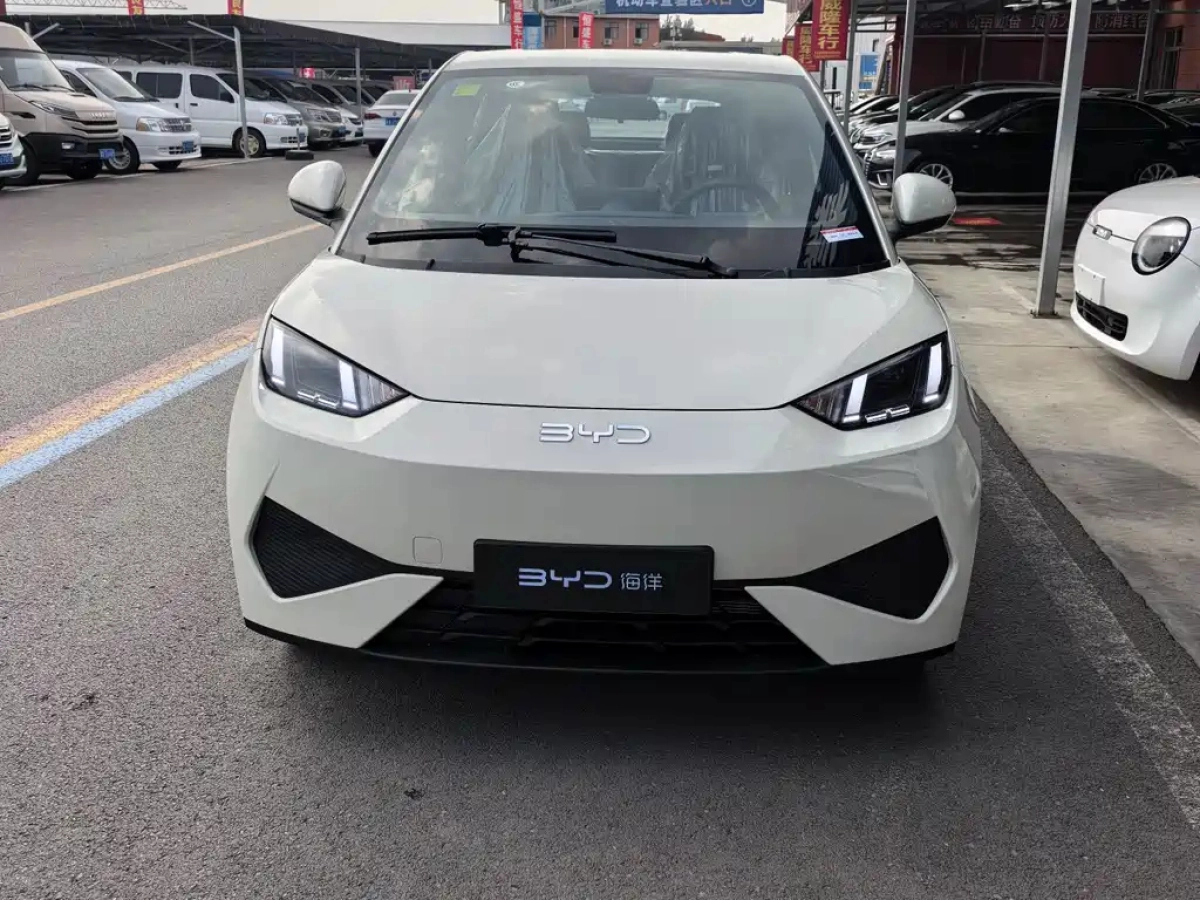 BYD SEAGULL