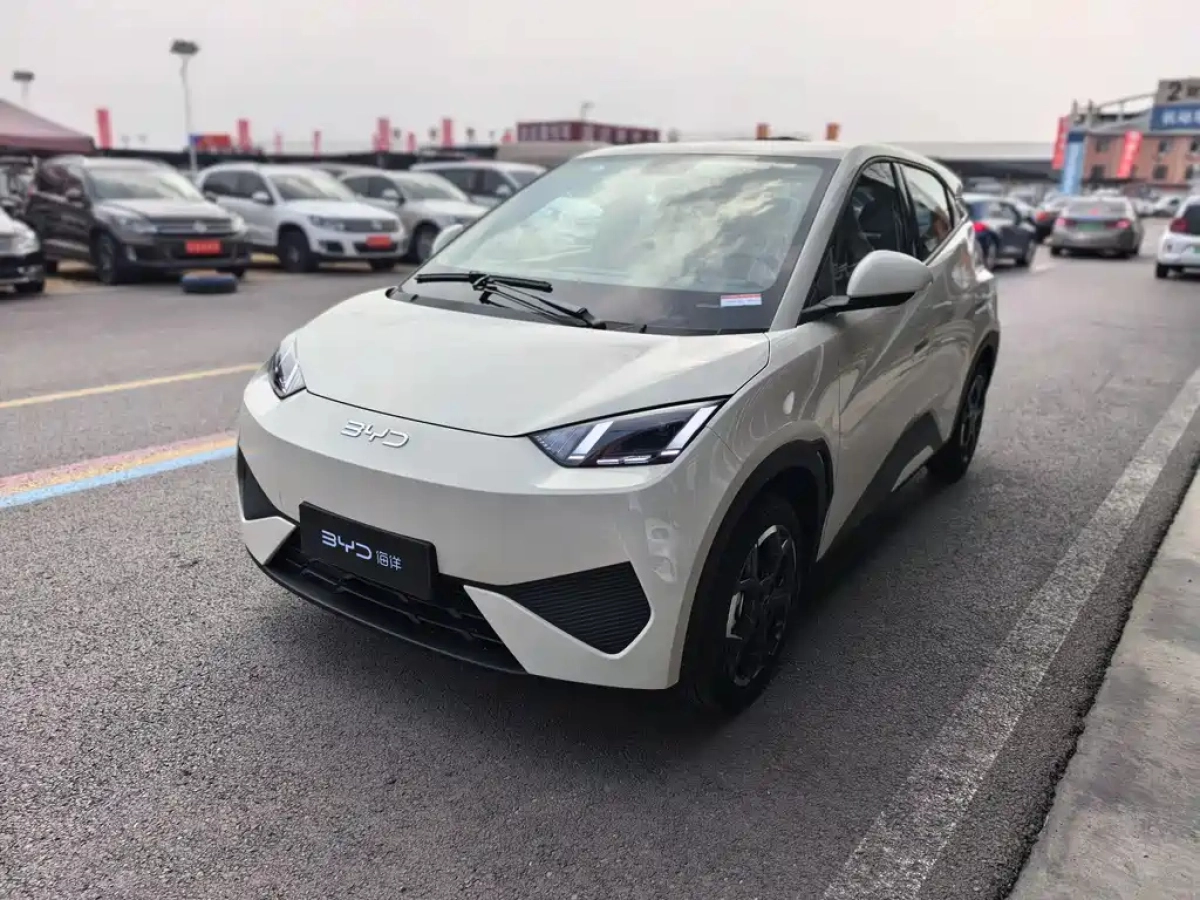 BYD SEAGULL